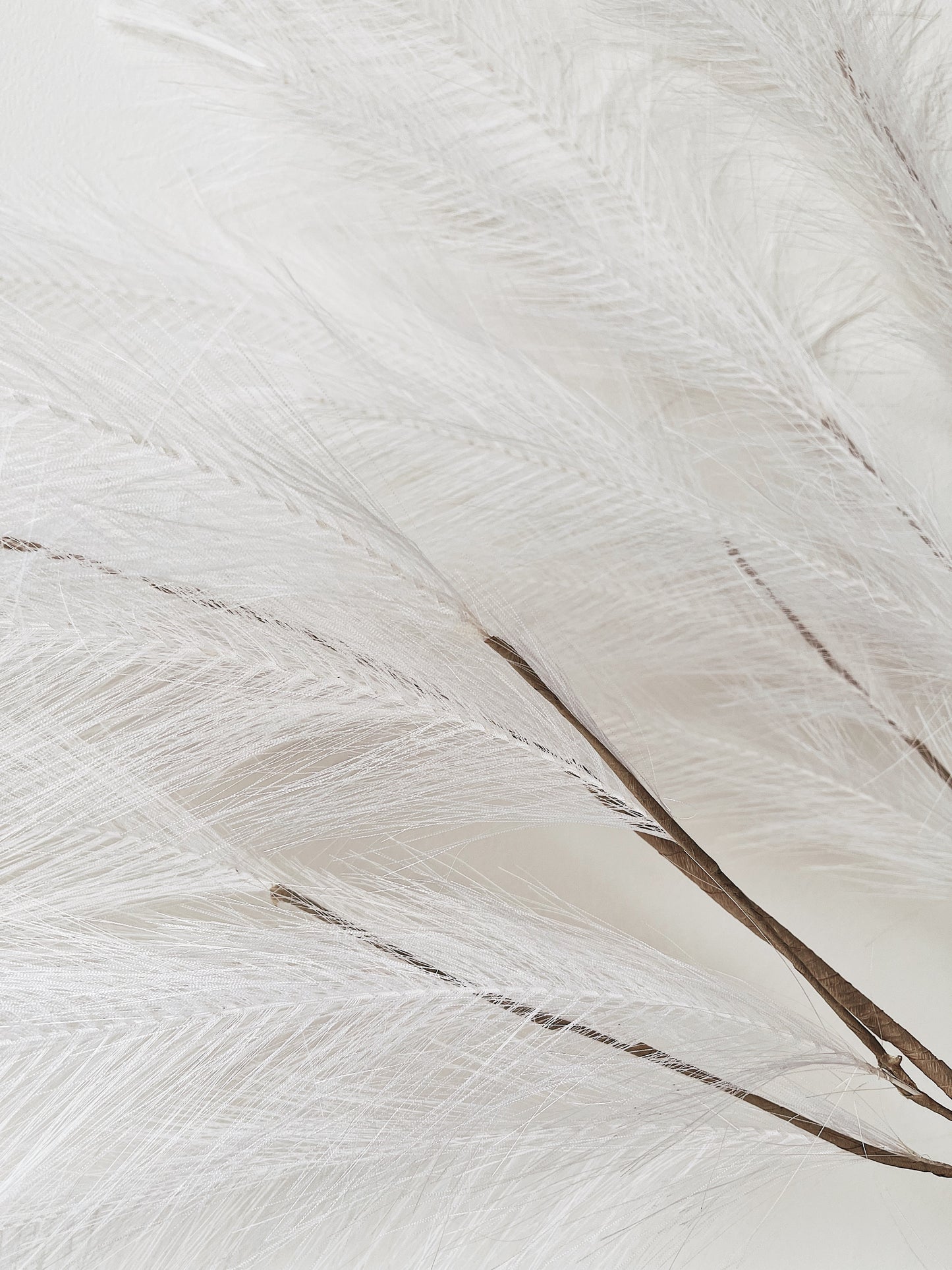 Free Consultation - Healing, Coaching, and Astrology Services